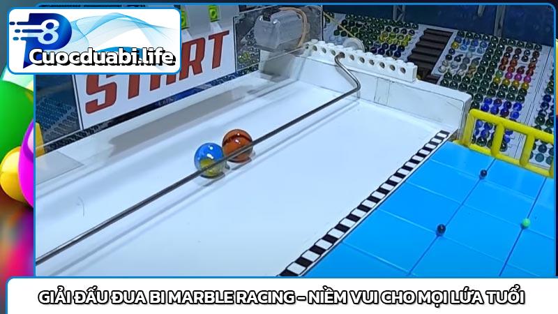 Giải đấu đua bi Marble Racing - Niềm Vui Cho Mọi Lứa Tuổi